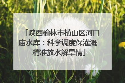 陕西榆林市横山区河口庙水库：科学调度保灌溉 精准放水解旱情
