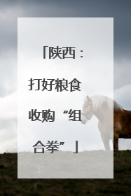 陕西：打好粮食收购“组合拳”