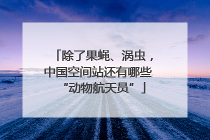 除了果蝇、涡虫，中国空间站还有哪些“动物航天员”