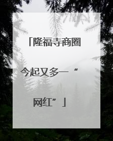 隆福寺商圈今起又多一“网红”