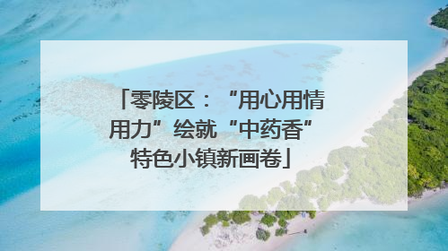 零陵区：“用心用情用力”绘就“中药香”特色小镇新画卷