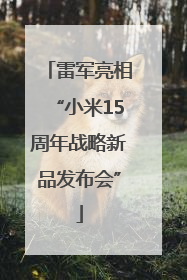 雷军亮相“小米15周年战略新品发布会”
