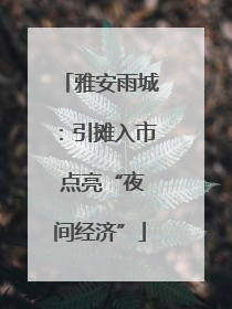 雅安雨城：引摊入市 点亮“夜间经济”