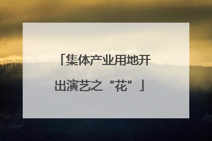 集体产业用地开出演艺之“花”