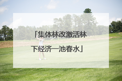 集体林改激活林下经济一池春水