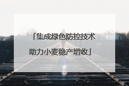 集成绿色防控技术助力小麦稳产增收