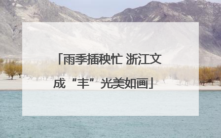 雨季插秧忙 浙江文成“丰”光美如画