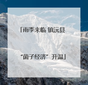 雨季来临 镇沅县“菌子经济”升温