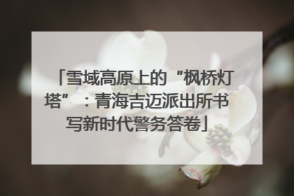 雪域高原上的“枫桥灯塔”：青海吉迈派出所书写新时代警务答卷