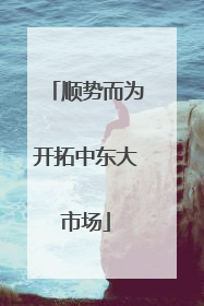 顺势而为开拓中东大市场