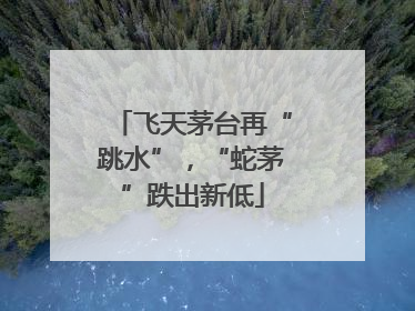 飞天茅台再“跳水”，“蛇茅”跌出新低