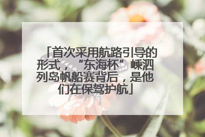 首次采用航路引导的形式，“东海杯”嵊泗列岛帆船赛背后，是他们在保驾护航