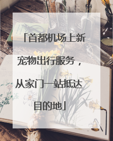 首都机场上新宠物出行服务，从家门一站抵达目的地