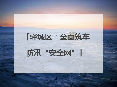 驿城区：全面筑牢防汛“安全网”