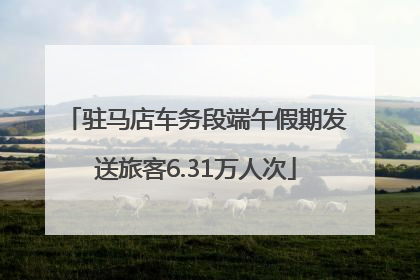 驻马店车务段端午假期发送旅客6.31万人次