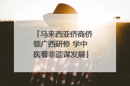 马来西亚侨商侨领广西研修 学中医看非遗谋发展