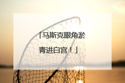 马斯克眼角淤青进白宫！