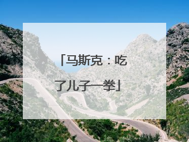马斯克：吃了儿子一拳