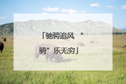 驰骋追风 “骑”乐无穷