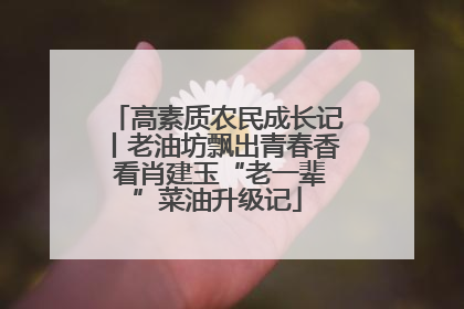 高素质农民成长记丨老油坊飘出青春香 看肖建玉“老一辈”菜油升级记
