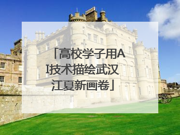 高校学子用AI技术描绘武汉江夏新画卷