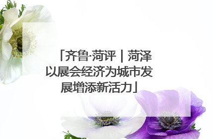 齐鲁·菏评｜菏泽以展会经济为城市发展增添新活力