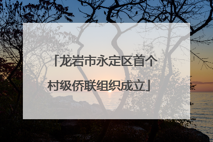龙岩市永定区首个村级侨联组织成立