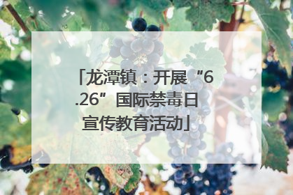 龙潭镇：开展“6.26”国际禁毒日宣传教育活动