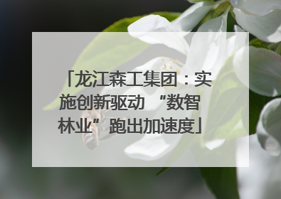 龙江森工集团：实施创新驱动 “数智林业”跑出加速度