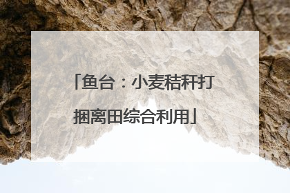 鱼台：小麦秸秆打捆离田综合利用