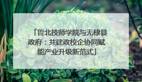 鲁北技师学院与无棣县政府：共建政校企协同赋能产业升级新范式