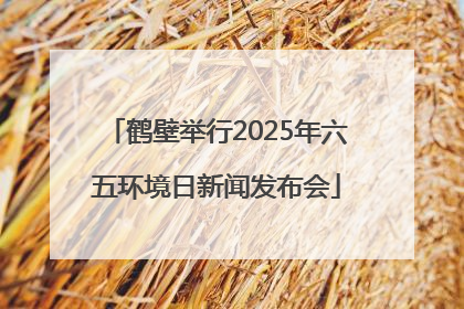 鹤壁举行2025年六五环境日新闻发布会