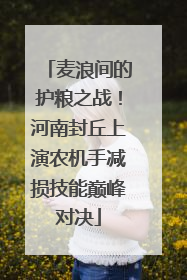麦浪间的护粮之战！河南封丘上演农机手减损技能巅峰对决
