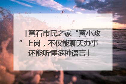 黄石市民之家“黄小政”上岗，不仅能聊天办事还能听懂多种语言