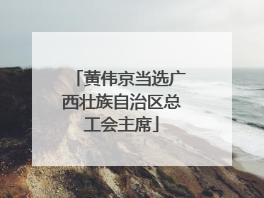黄伟京当选广西壮族自治区总工会主席