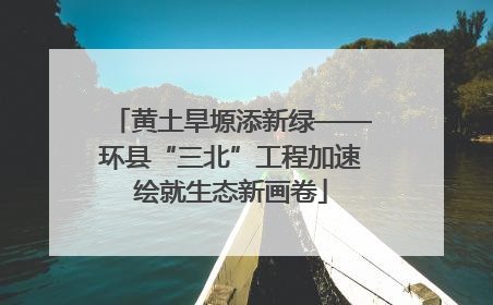 黄土旱塬添新绿——环县“三北”工程加速绘就生态新画卷