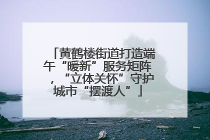 黄鹤楼街道打造端午“暖新”服务矩阵，“立体关怀”守护城市“摆渡人”