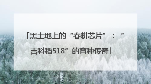 黑土地上的“春耕芯片”：“吉科稻518”的育种传奇