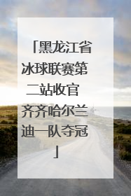 黑龙江省冰球联赛第二站收官 齐齐哈尔兰迪一队夺冠