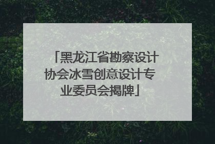黑龙江省勘察设计协会冰雪创意设计专业委员会揭牌