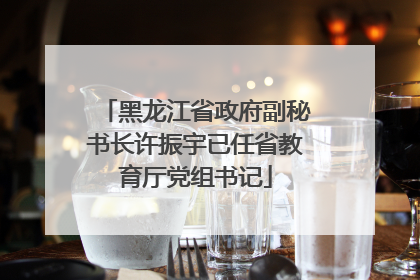 黑龙江省政府副秘书长许振宇已任省教育厅党组书记
