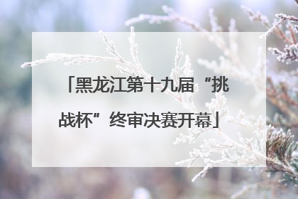 黑龙江第十九届“挑战杯”终审决赛开幕