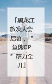 黑龙江旅发大会启幕，“鱼熊CP”萌力全开