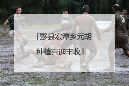 黟县宏潭乡元胡种植喜迎丰收