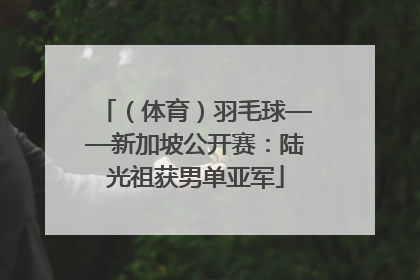 （体育）羽毛球——新加坡公开赛：陆光祖获男单亚军