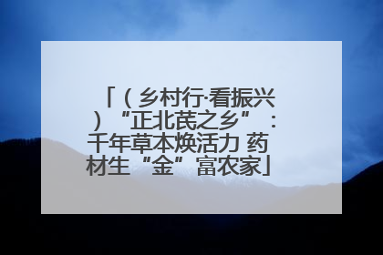 （乡村行·看振兴）“正北芪之乡”：千年草本焕活力 药材生“金”富农家