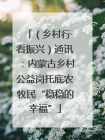 （乡村行·看振兴）通讯：内蒙古乡村公益岗托底农牧民“稳稳的幸福”