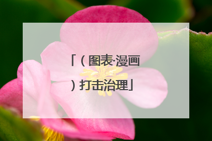 （图表·漫画）打击治理