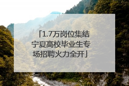1.7万岗位集结 宁夏高校毕业生专场招聘火力全开
