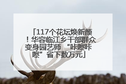 117个花坛焕新颜！华容临江乡干部群众变身园艺师 “咔嚓咔嚓”省下数万元